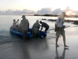 Wet landing on a beautiful shore