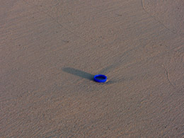 The only litter we saw