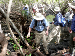 Making our way at high tide