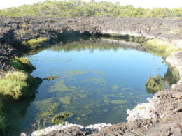 Brackish water lagoon