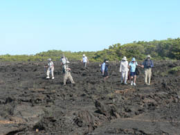 Walking on the lava