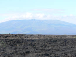 Lava on Isabela Island