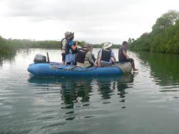 Touring the mangrove lagoon