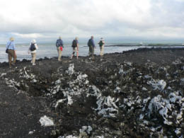 Trail along the beach
