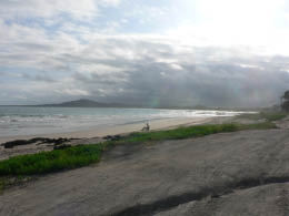 Beach on Isabela Island