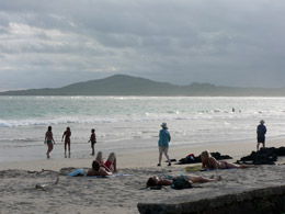 Beach on Isabela Island