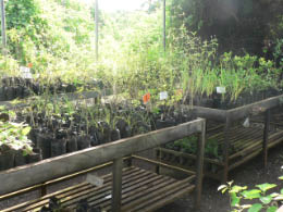 Darwin Research Center