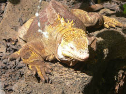 Darwin Research Center