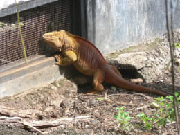 Darwin Research Center