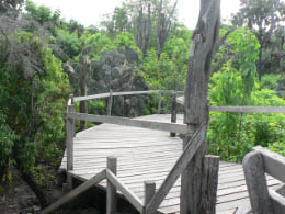 Darwin Research Center