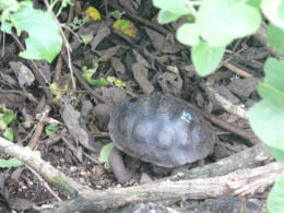 Darwin Research Center