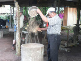 Shelling coffee beans