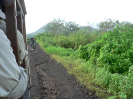 highlands of Floreana