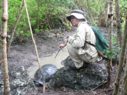 Pepe's lecture about tortoises