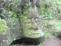 Mr. Wittmer's art project