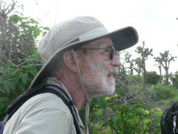 Sea lions on Santa Fe Island