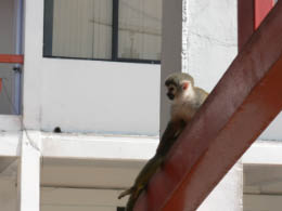 Getting back on the bus