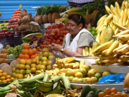 Quito Market