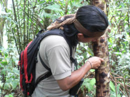 Kids at school "performing"