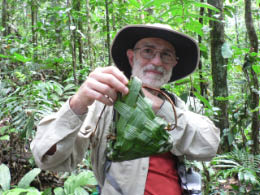 Kids at school "performing"