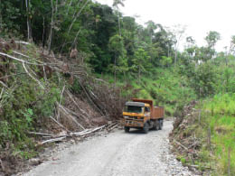 Getting back on the bus