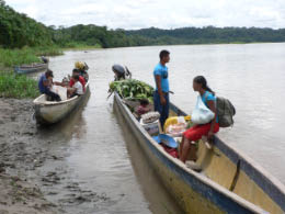 Going home from market