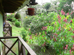 View from our balcony