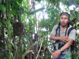 Abel with termite nest