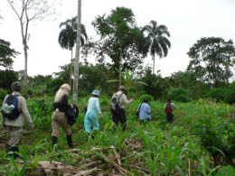 We're off to see the Shaman