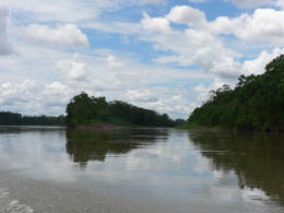 Napo River from our canoe