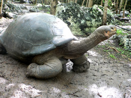 Bill and Nancy's Trip to Ecuador