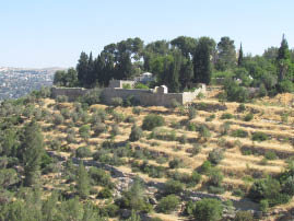 Church of the Visitation