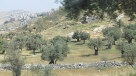 The Hill of the Four