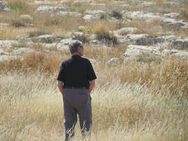 The pause that refreshes