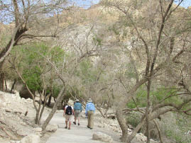 En Gedi Nature Reserve