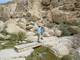 En Gedi Nature Reserve