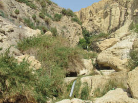 En Gedi Nature Reserve
