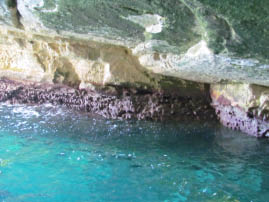 Tourquois Mediterranean