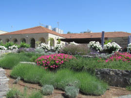 Golan Heights Winerary