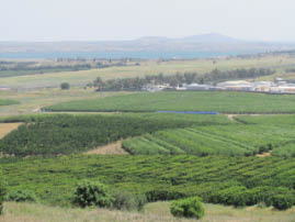 Golan Heights