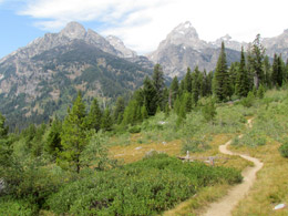 Taggert/Bradly Lake Trail