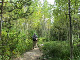 Taggert/Bradly Lake Trail