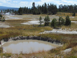 Coca, a God-forsaken frontier town