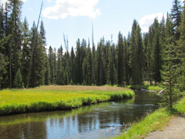 Trail to Lone Star Geyser