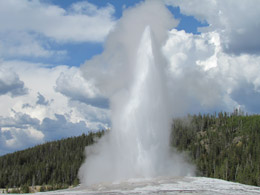 Old Faithful