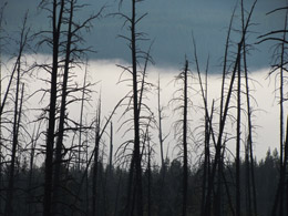 Firehole Canyon Drive