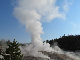 Steamboat Geyser