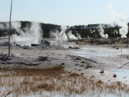 Norris Geyser Basin