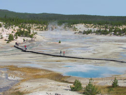 Norris Geyser Basin