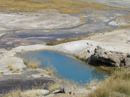Norris Geyser Basin